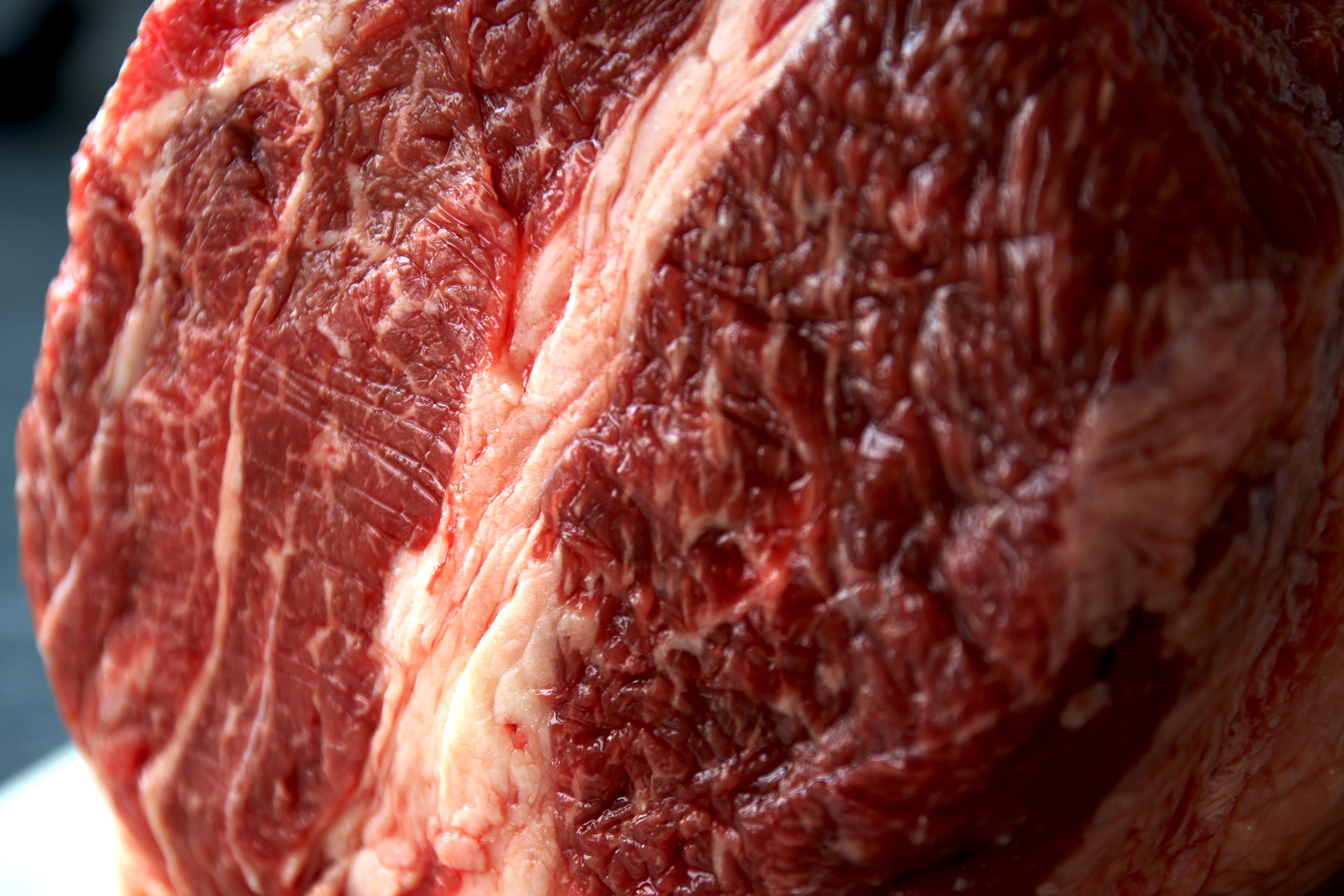 a side of beef in our cooler